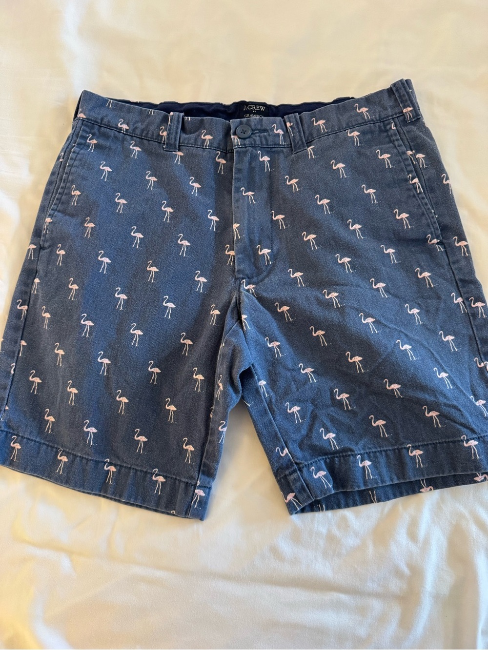 JCrew Grammercy flamingo shorts